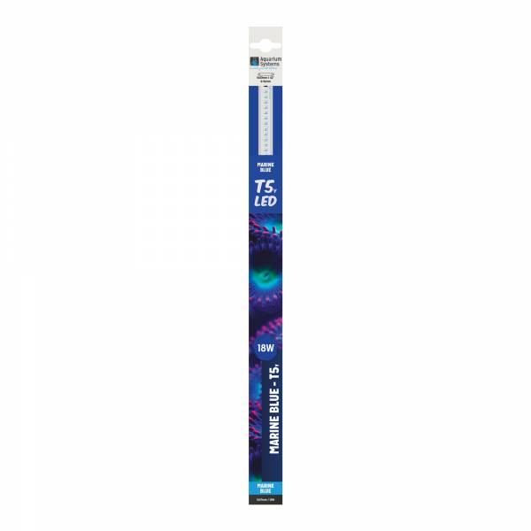 T5 LED Marineblau